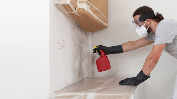 Professional Bathroom Mold Removal technician working in Knoxville, IL