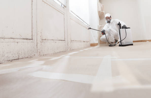 24/7 Emergency Bathroom Mold Removal experts in Knoxville, IL