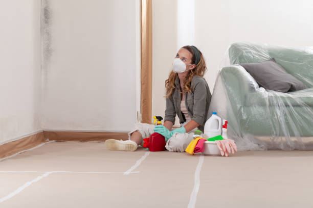 Reliable Bathroom Mold Removal contractor in Knoxville, IL by 24 Hour Mold Removal